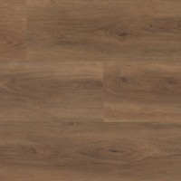 Robusto Warm Brown 